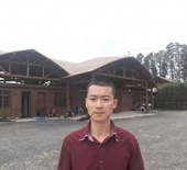 仿真树皮